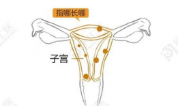插入子宫漫画,探索生命起源的奇幻旅程